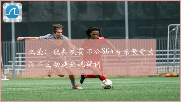 武圣：裁判吹罚不公SGA与东契奇为何不主动造犯规解析